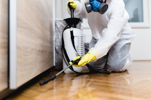 Best Insect Control  in Leesburg, GA
