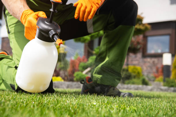 Best Spider Control Near Me  in Leesburg, GA