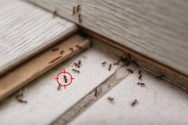 Best Cockroach Control Services  in Leesburg, GA