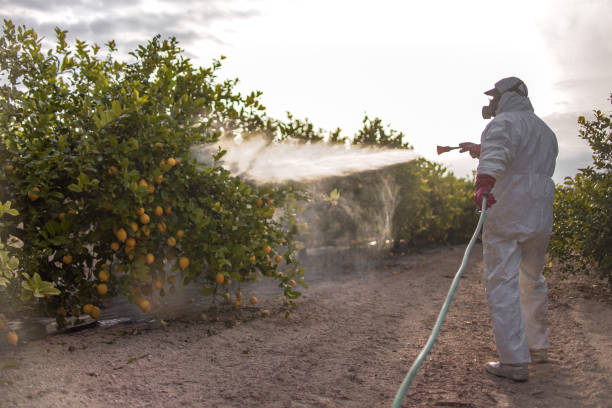 Pest Control for Restaurants in Leesburg, GA