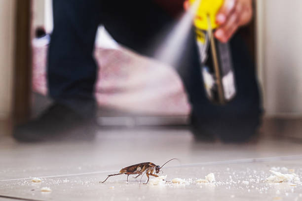 Best Pest Control Near Me in Leesburg, GA