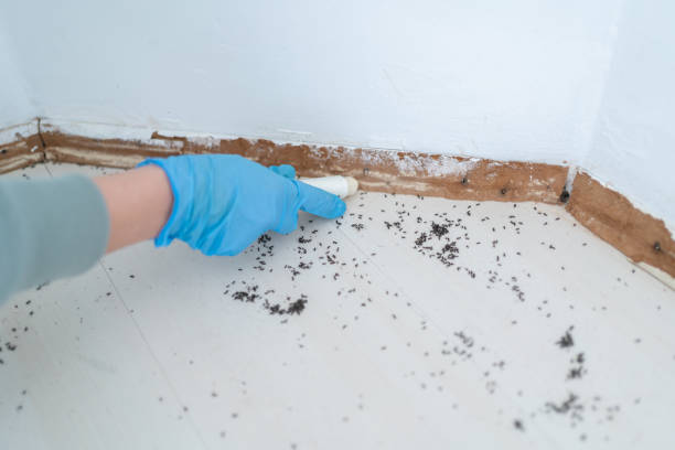 Best Exterminator Services  in Leesburg, GA
